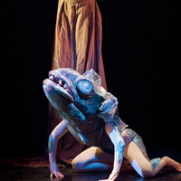 Exuvia - Magical Theatre & the Amanda Puijk Company